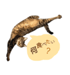 ニニとピノ（個別スタンプ：11）