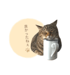 ニニとピノ（個別スタンプ：13）