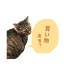 ニニとピノ（個別スタンプ：15）