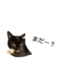 ニニとピノ（個別スタンプ：16）