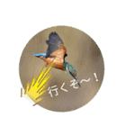それ、いいね！（個別スタンプ：7）