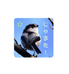 それ、いいね！（個別スタンプ：10）