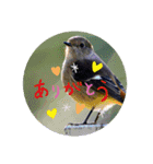 それ、いいね！（個別スタンプ：14）