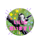 それ、いいね！（個別スタンプ：15）