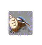 それ、いいね！（個別スタンプ：16）