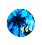 palm tree resortヤシの木(English)（個別スタンプ：3）