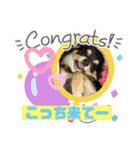 ニコちゃんとチーちゃんスタンプ（個別スタンプ：1）