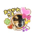 ニコちゃんとチーちゃんスタンプ（個別スタンプ：10）