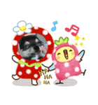 ニコちゃんとチーちゃんスタンプ（個別スタンプ：22）