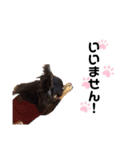 みるもか part4（個別スタンプ：7）
