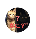 ちゃんまつスタンプ③（個別スタンプ：3）
