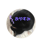 ちゃんまつスタンプ③（個別スタンプ：8）
