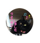 ちゃんまつスタンプ③（個別スタンプ：12）