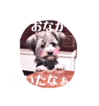 もねもね2（個別スタンプ：4）
