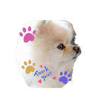 RantoEM（個別スタンプ：1）