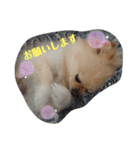 RantoEM（個別スタンプ：6）