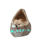 RantoEM（個別スタンプ：9）
