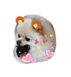 RantoEM（個別スタンプ：10）