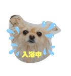 RantoEM（個別スタンプ：11）