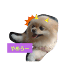 RantoEM（個別スタンプ：14）