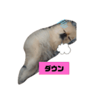 RantoEM（個別スタンプ：15）