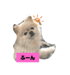 RantoEM（個別スタンプ：17）