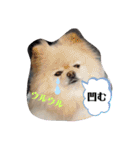 RantoEM（個別スタンプ：19）