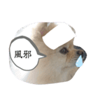 RantoEM（個別スタンプ：20）