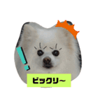RantoEM（個別スタンプ：21）