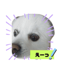 RantoEM（個別スタンプ：22）