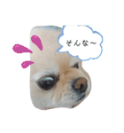 RantoEM（個別スタンプ：23）