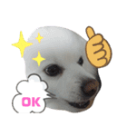 RantoEM（個別スタンプ：24）