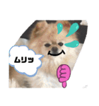 RantoEM（個別スタンプ：25）