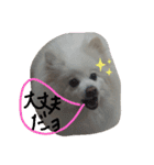 RantoEM（個別スタンプ：30）