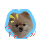 RantoEM（個別スタンプ：31）