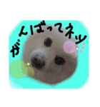 RantoEM（個別スタンプ：32）