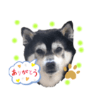 もここん（個別スタンプ：4）