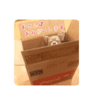 まいにちマーシュ（個別スタンプ：28）