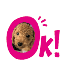 ゆうこむぎん（個別スタンプ：3）