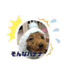 ゆうこむぎん（個別スタンプ：13）