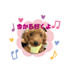 ゆうこむぎん（個別スタンプ：19）