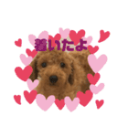 ゆうこむぎん（個別スタンプ：20）