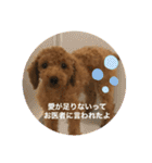 ゆうこむぎん（個別スタンプ：22）