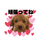 ゆうこむぎん（個別スタンプ：25）