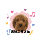 ゆうこむぎん（個別スタンプ：33）