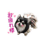仲良し犬さん（個別スタンプ：7）