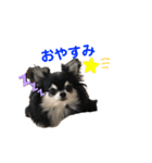 仲良し犬さん（個別スタンプ：8）