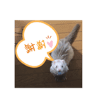 クゥーと小太郎（個別スタンプ：7）