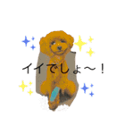 トイプードルアンズ4（個別スタンプ：15）