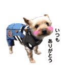 ろまん君②（個別スタンプ：1）